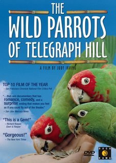 Wild Parrots of Telegraph Hill DVD