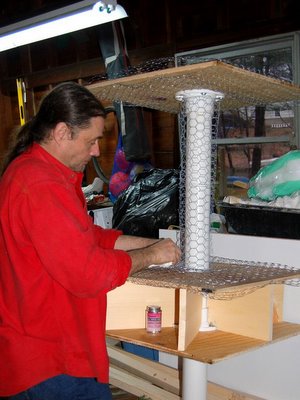 Quaker Parrot Nest Construction, Fairfield, Connecticut, January 7, 2004