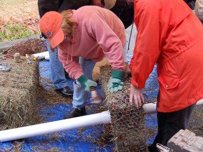Quaker Parrot Nest Construction, Fairfield, Connecticut, January 7, 2004
