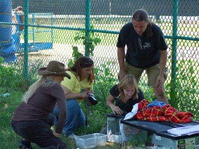 Participants in the rescue of wild baby Quaker Parrots in Throggs Neck, the Bronx, New York, July 7, 2007