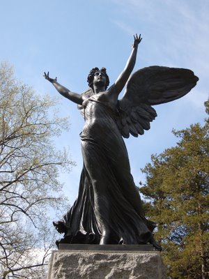 If all goes well, the angels of Green-Wood Cemetery will soon greet a fully-functioning condomium-style Monk Parakeet nest before Spring turns to Summer.