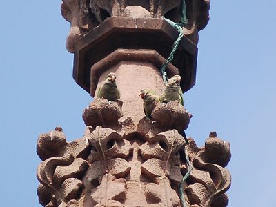 Living and breathing gargoyles distinguish the Greenwood cemetery gate from any other on the planet.