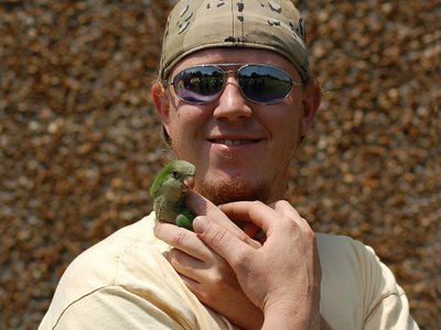 Paul, of FosterParrots.com, cradles a baby Quaker Parrot who flew out of the nest while it was being dismantled.