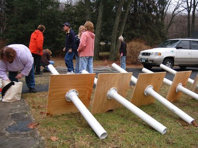 Quaker Parrot Nest Construction, Fairfield, Connecticut, January 7, 2004