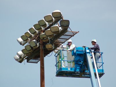 Workmen removing wild Quaker Parrot Nests in The Bronx, June 7, 2007