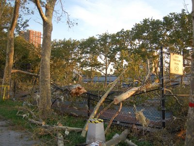 Damage from Bay Ridge Tornado, Brooklyn, NY, August 9, 2007