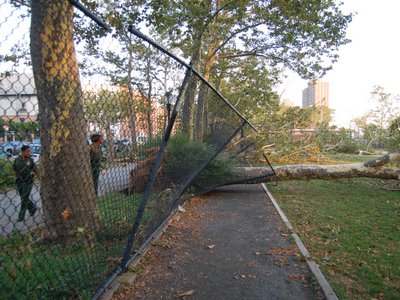 Damage from Bay Ridge Tornado, Brooklyn, NY, August 9, 2007