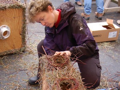 Quaker Parrot Nest Construction, Fairfield, Connecticut, January 7, 2004
